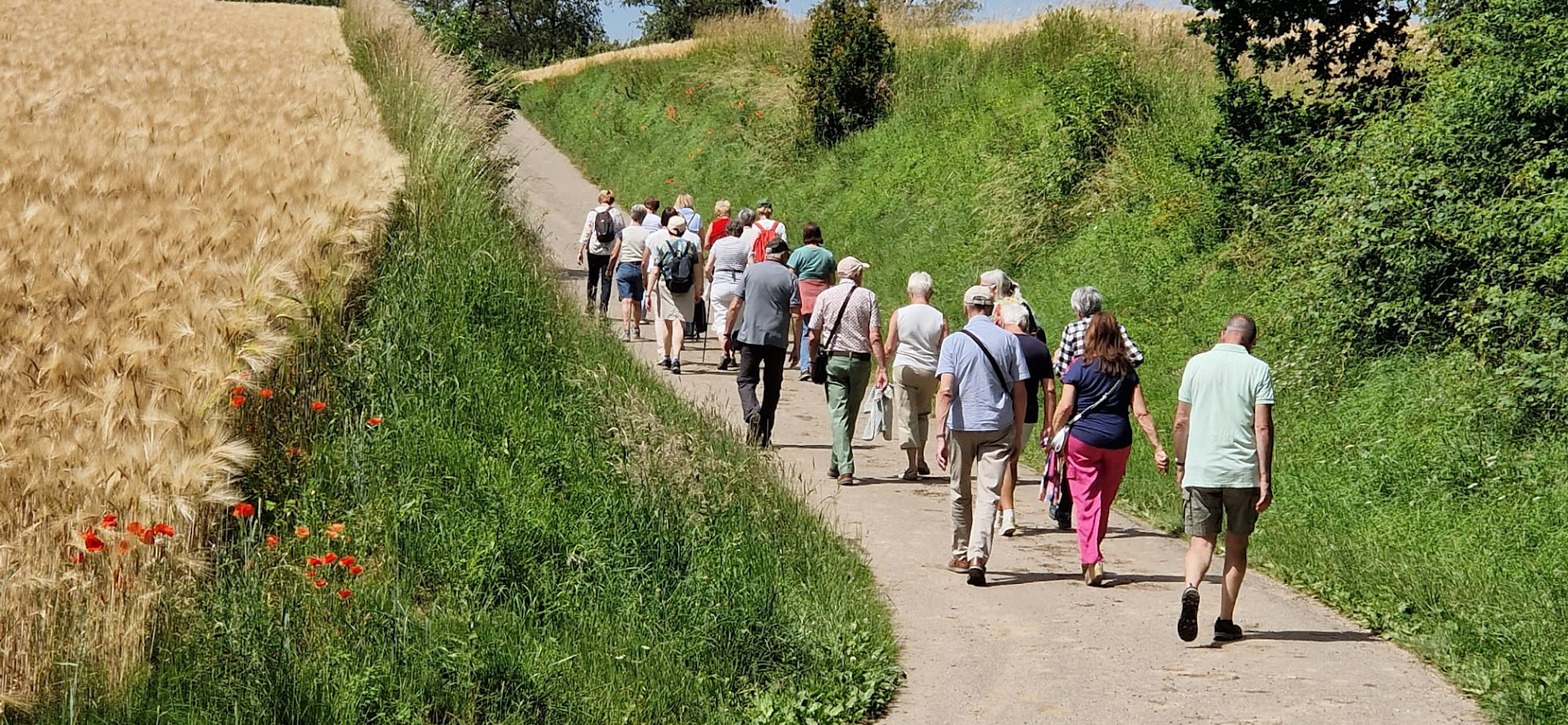 Veertiendaagse wandeling op dinsdagnamiddag ( van de oneven weken) in ...