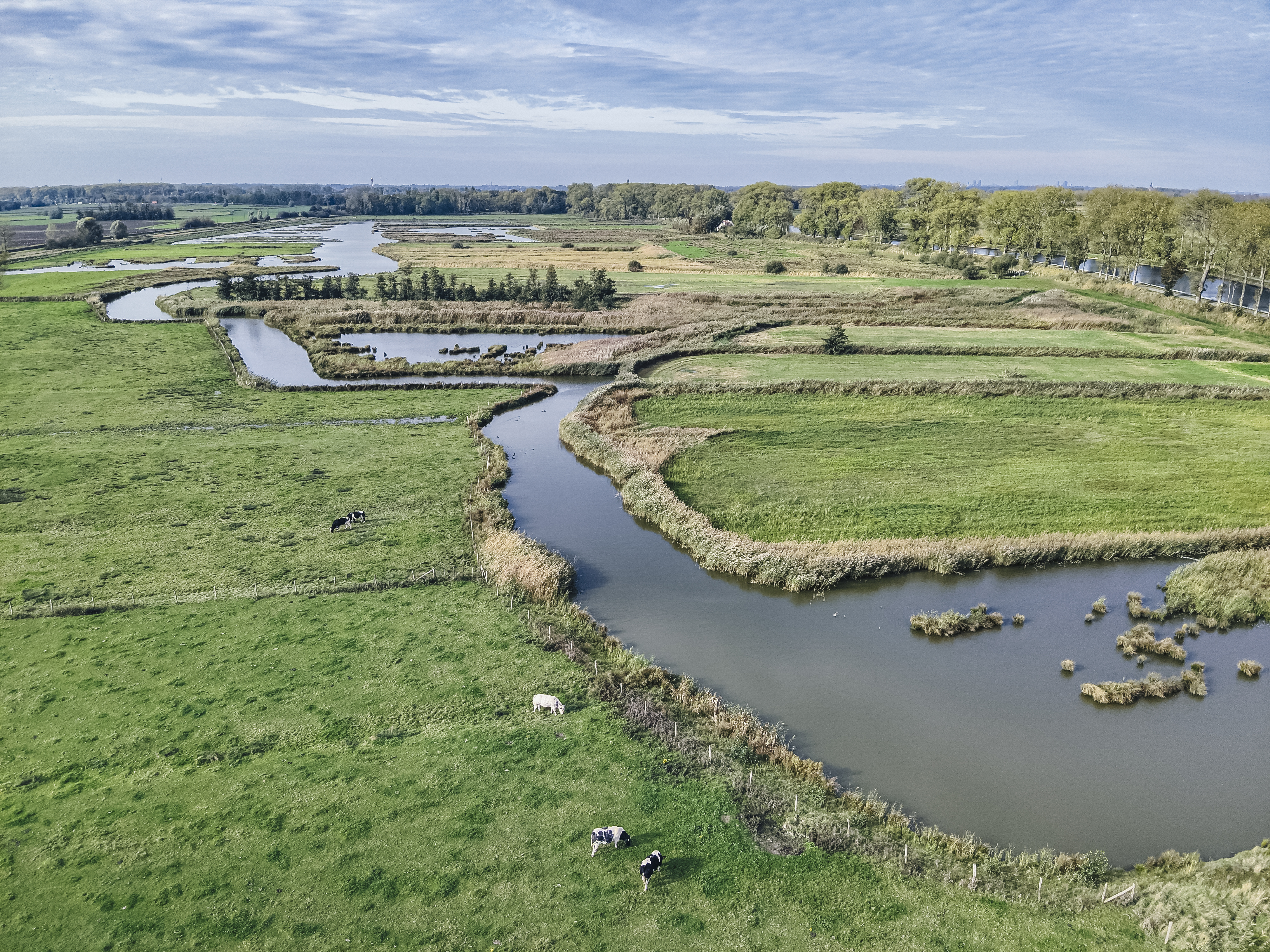 Natuurgebied Kwetshage