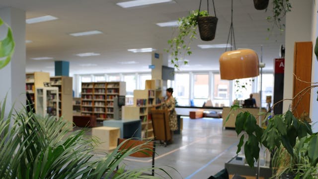 Bibliotheek Vrede