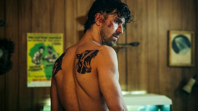 NACHTVLINDERS_STILLS©Toon Aerts-45 - 2.jpg