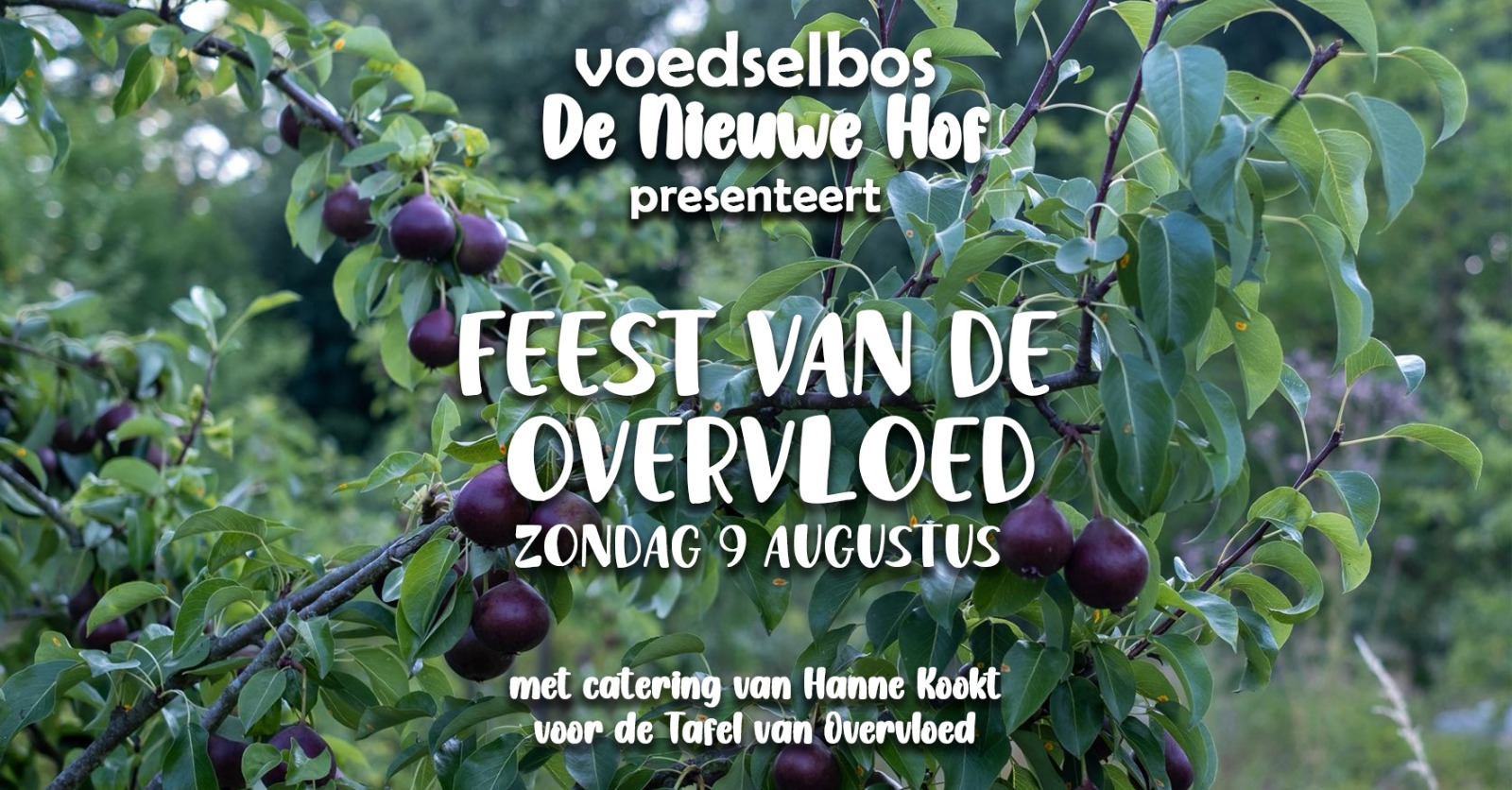 Feest van de Overvloed