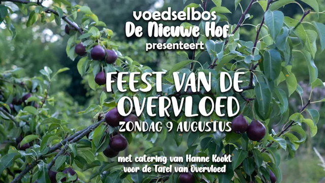 Feest van de Overvloed