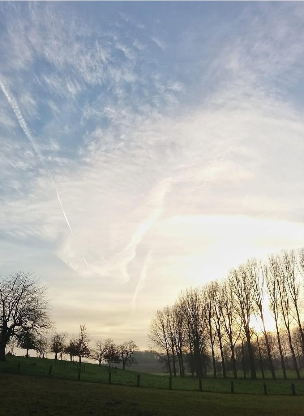 winterwandeling Gaasbeek