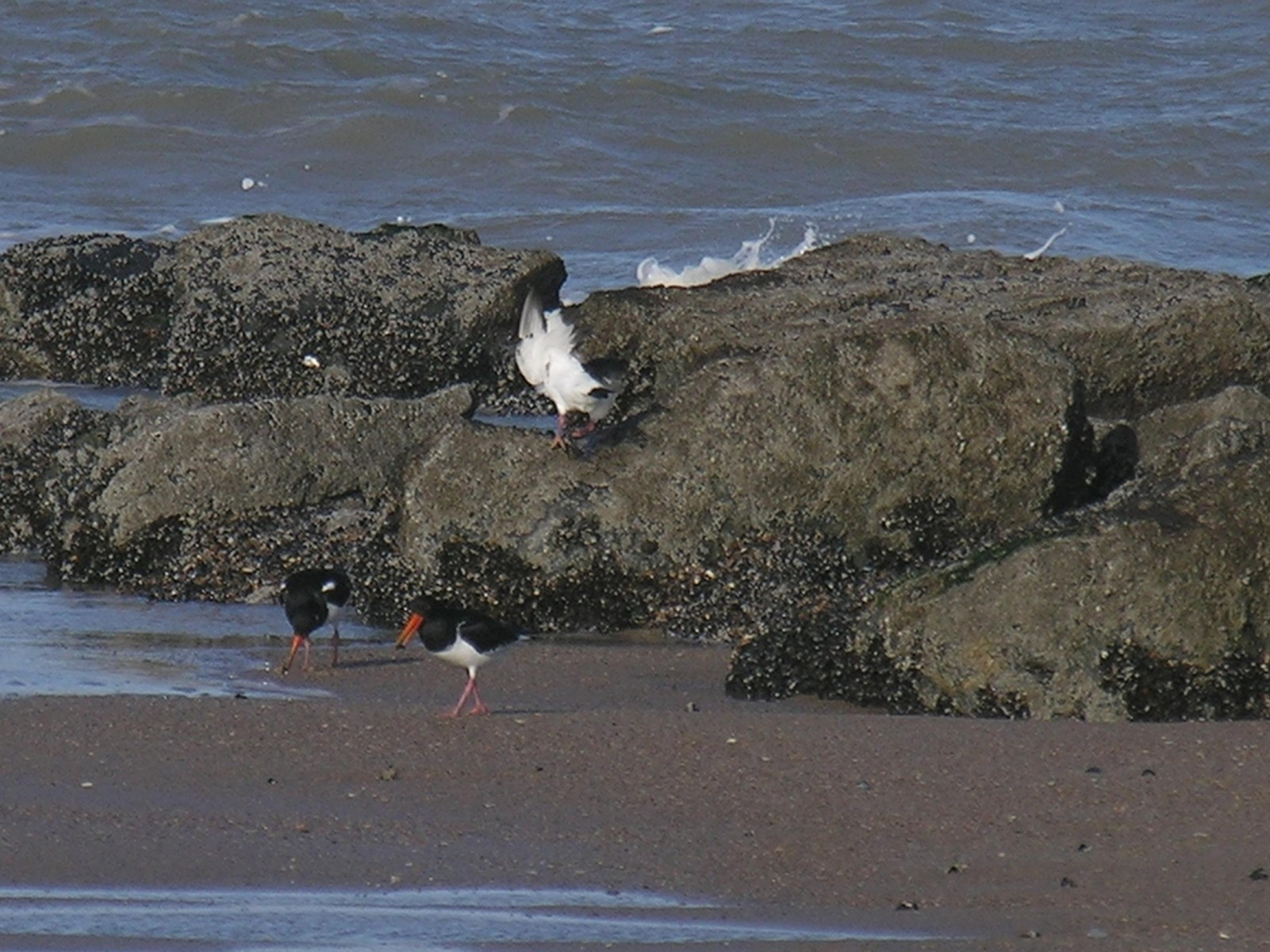 GEMEENTEBESTUUR KNOKKE-HEIST