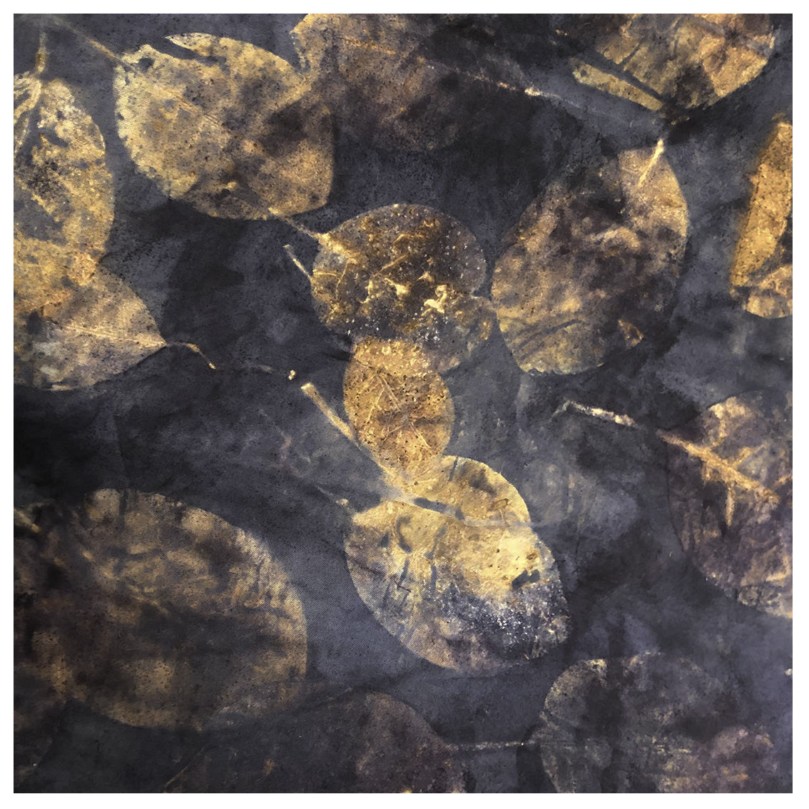 Ecoprint en kleur