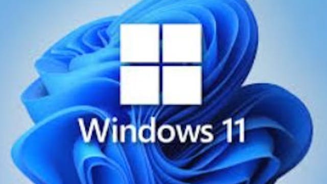 Windows 11