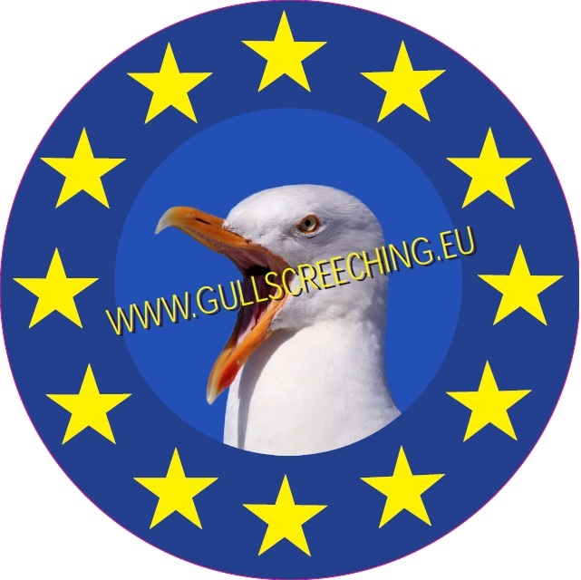 EK Meeuwenschreeuwen logo