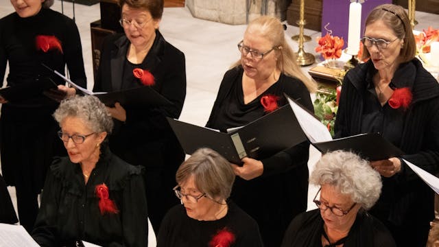 Gemengd Koor Cantoremus