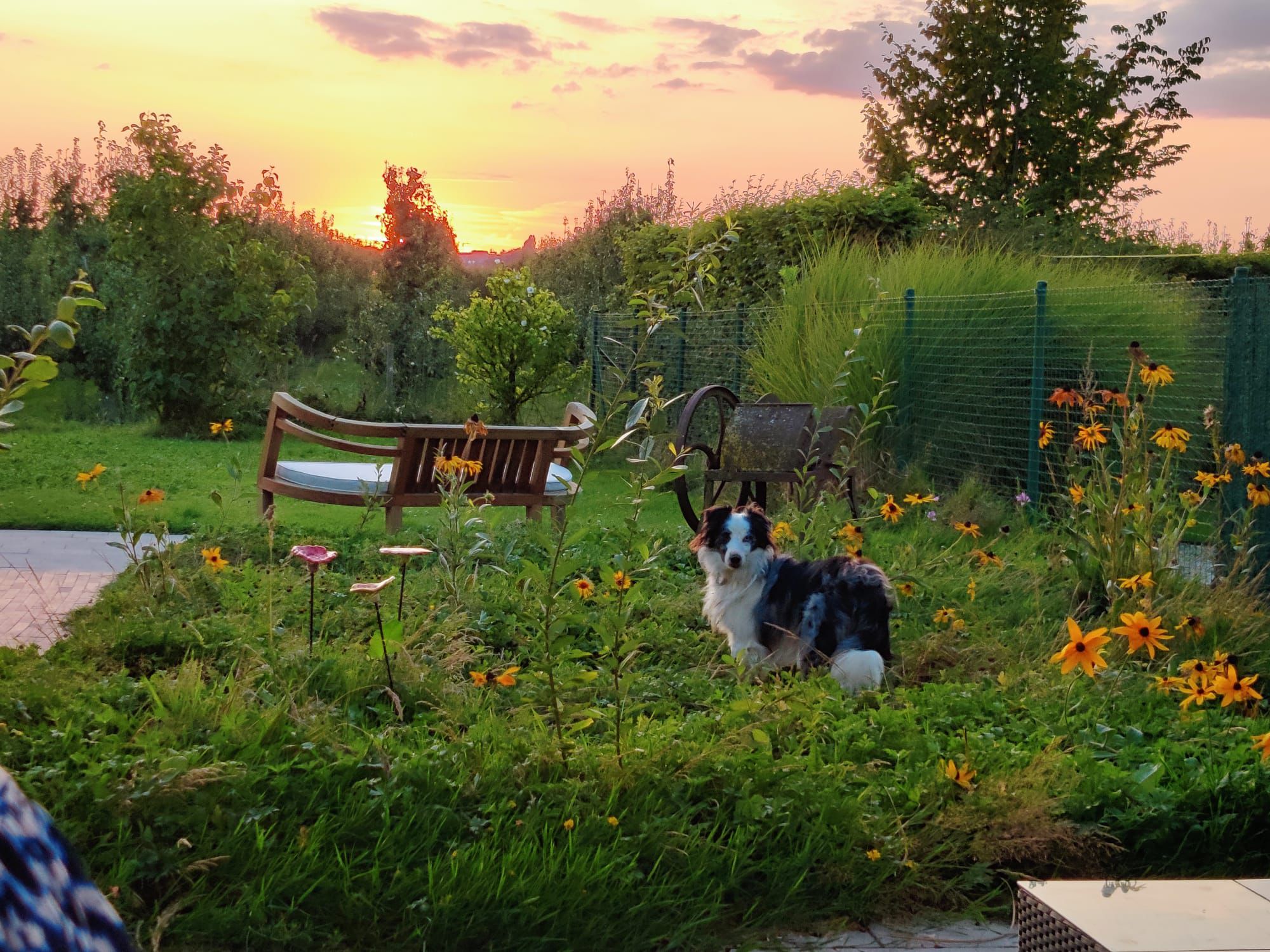 Hoeve op den Mierhoop