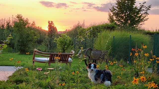 Hoeve op den Mierhoop