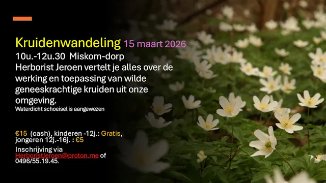 Kruidenwandeling met Herborist Jeroen, 15 maart 2026, Miskom