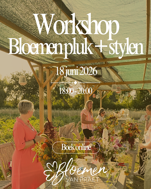 workshop bloemenpluk + stylen