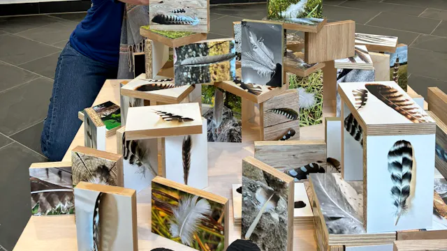 Patries Jeunen bouwt de expo Veerkracht op