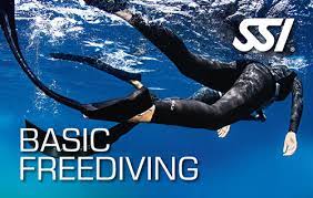 Brevet Basic Freediver