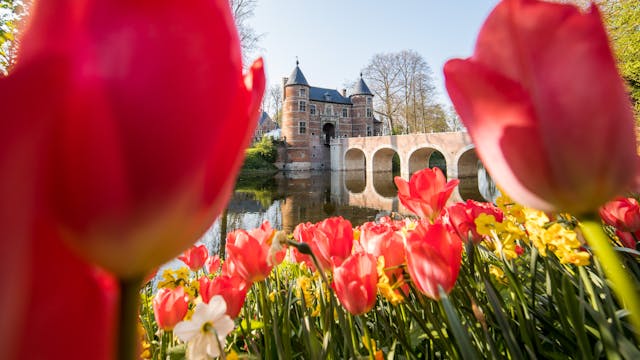 De lente bloemententoonstelling in het kasteelpark van Groot-Bijgaarden