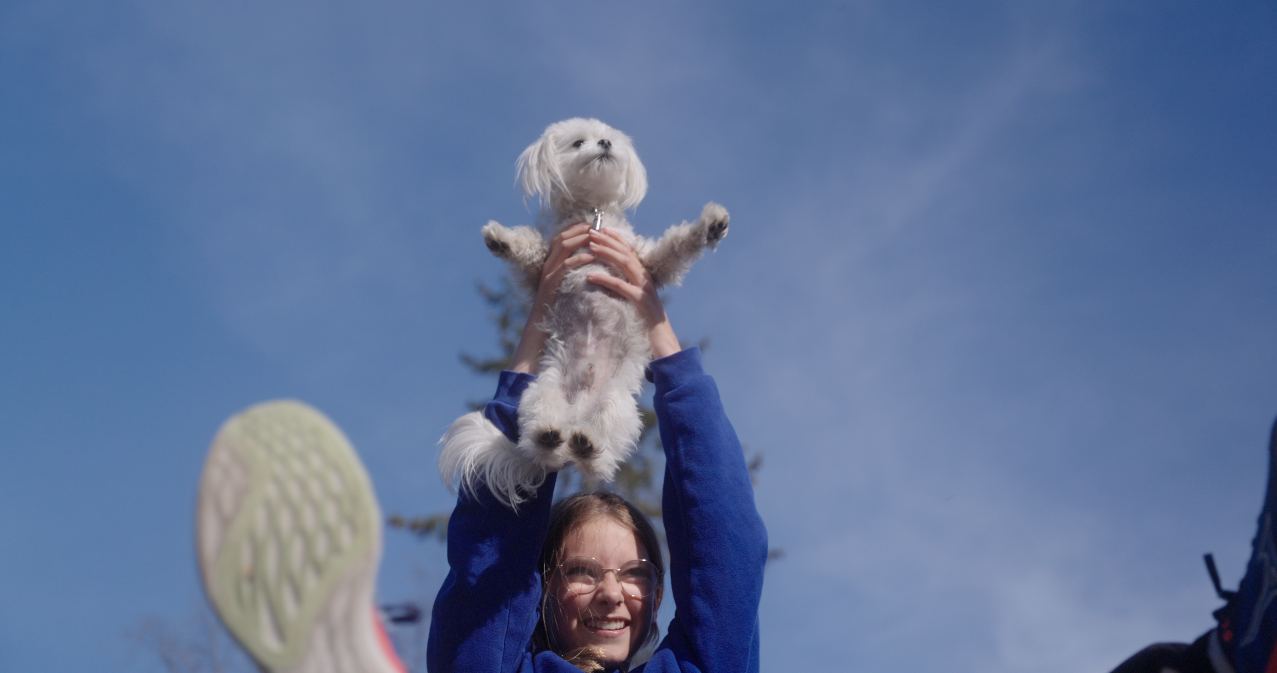 filmstill kleine honden blaffen luid