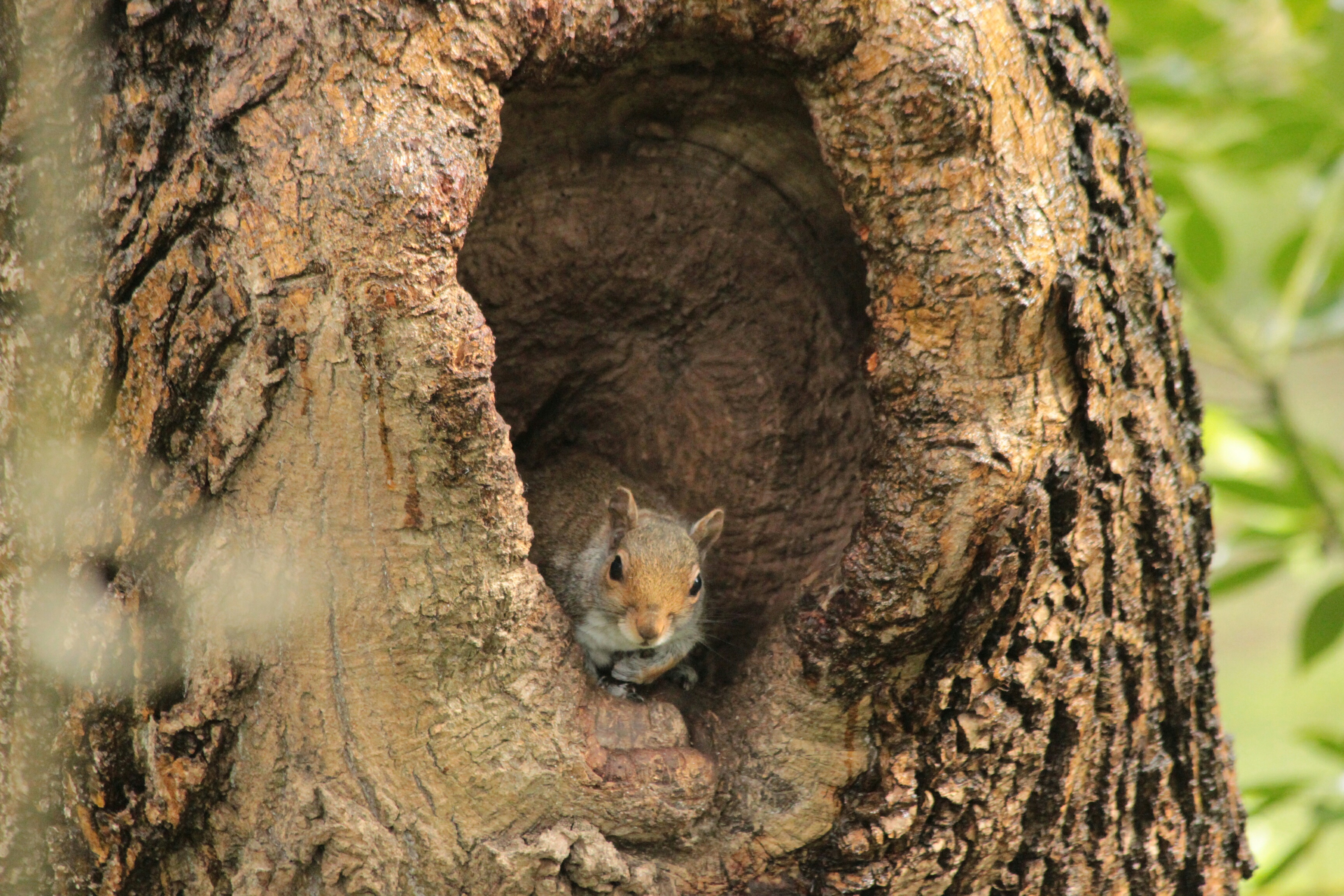 WORKSHOP HOCUSPOKUS HUISJES EN HOLLETJES