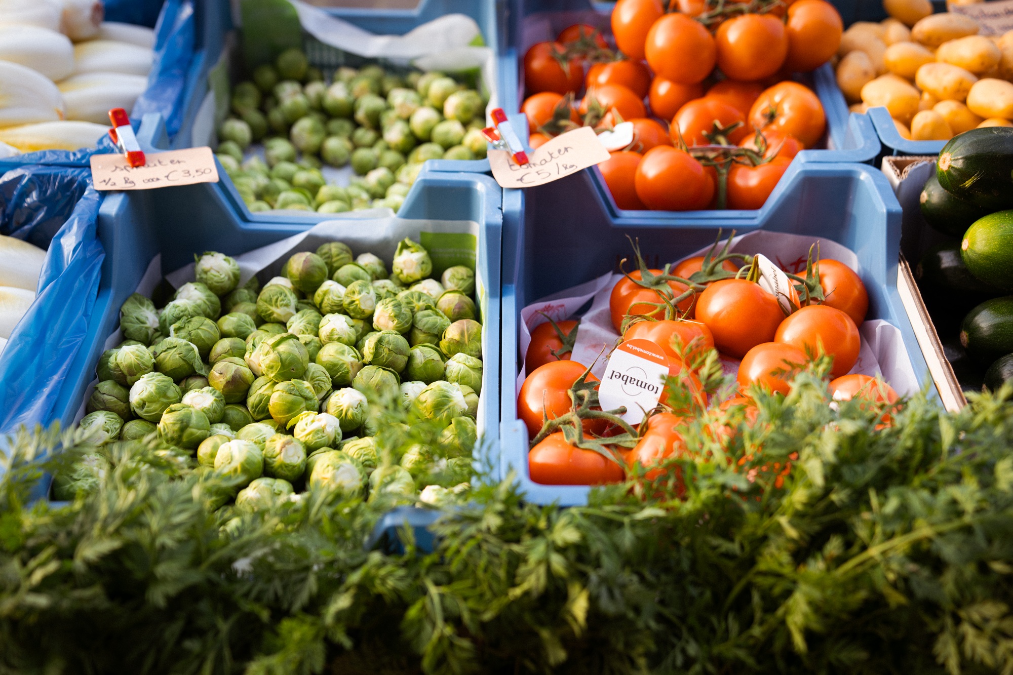 Zondagsmarkt Balgerhoeke