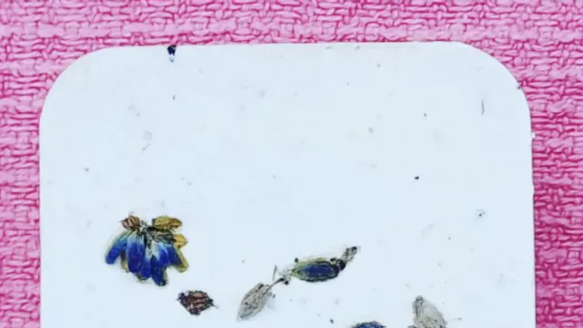 Schermafbeelding 2025-10-22 om 10.10.03