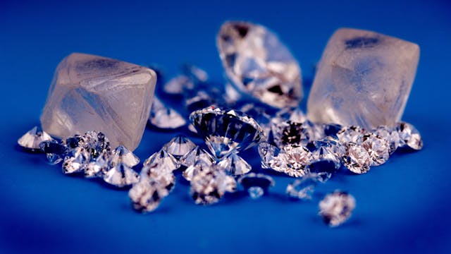 Zintuiglijke rondleiding