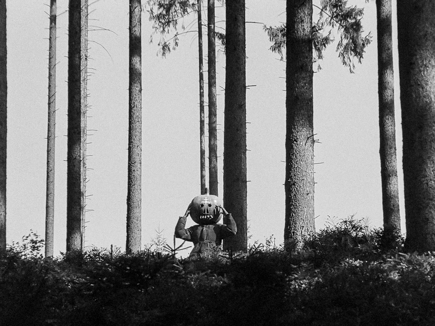 The Sun Rises Once a Day