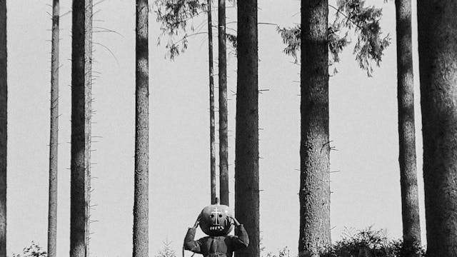 The Sun Rises Once a Day