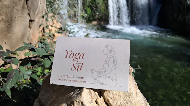 Yoga Hatha Flow met Sil