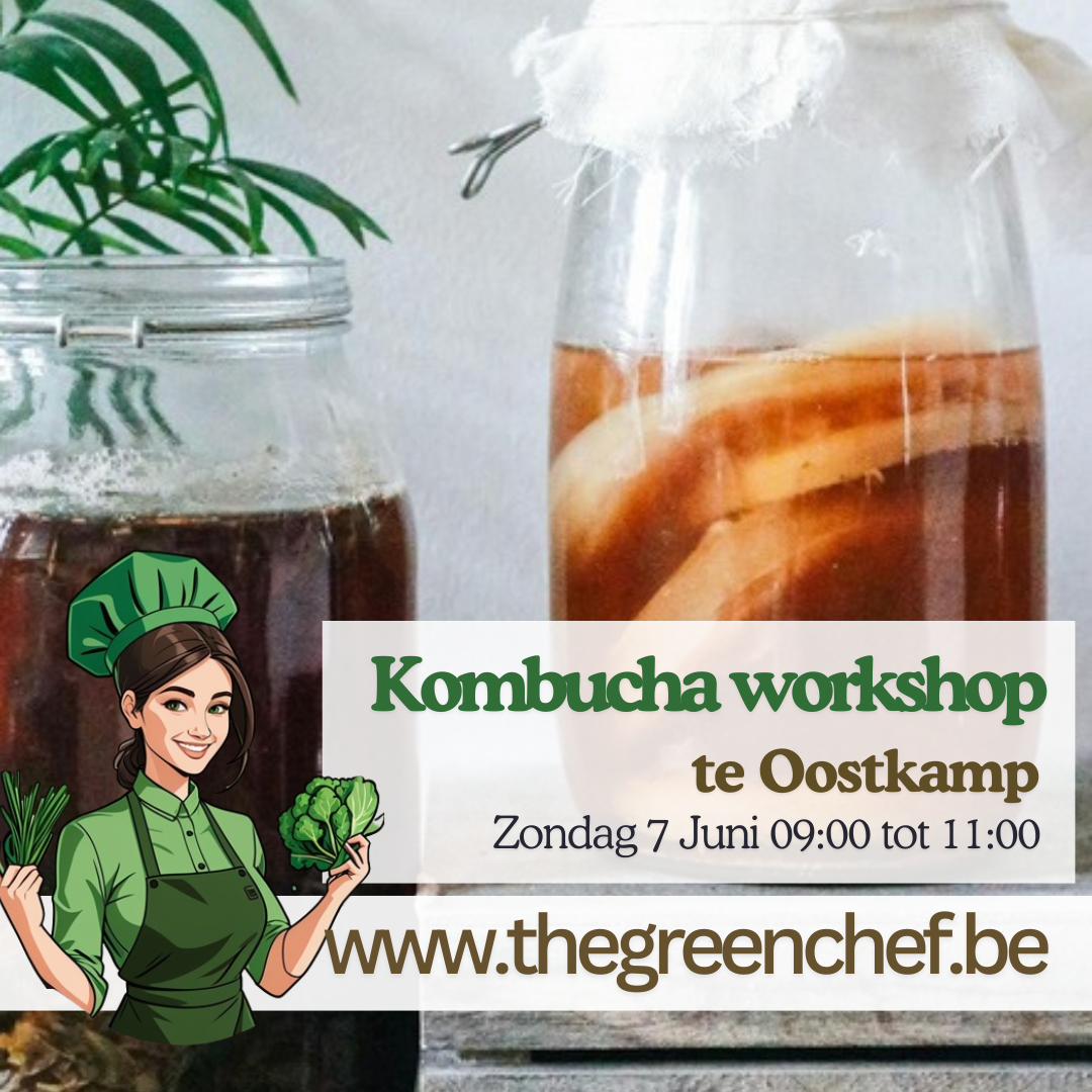 Kombucha Brouwen te Oostkamp