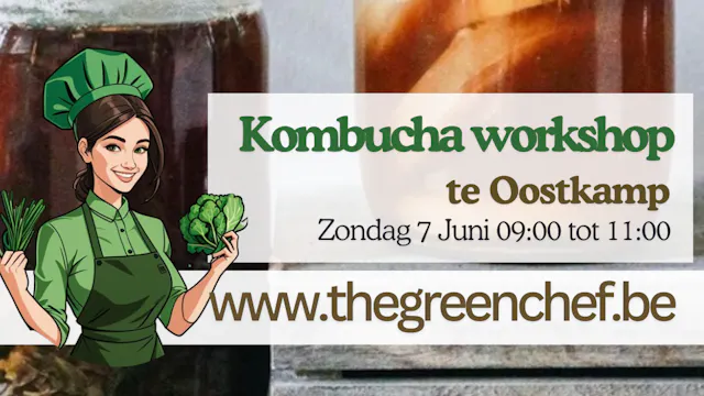Kombucha Brouwen te Oostkamp