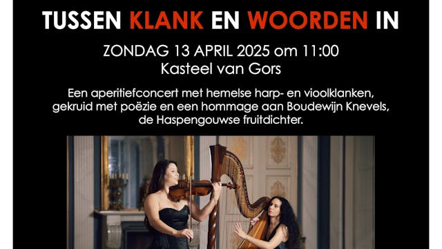 Kasteelconcert 'Tussen klank en woorden in'