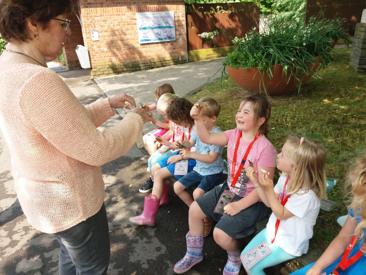 Rondleiding in het dierenpark