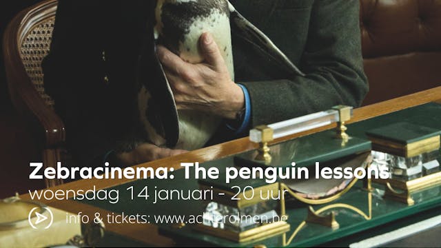 man achter bureau met pinguin op schoot