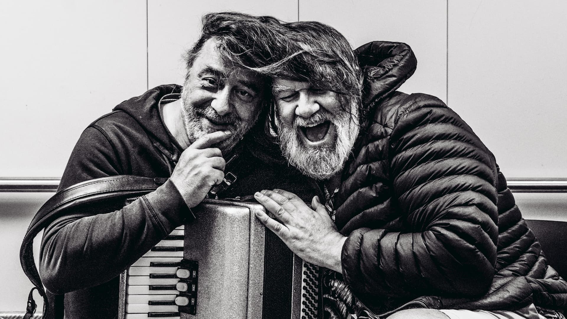 De Dolfijntjes 2026-copyright Davy De Pauw