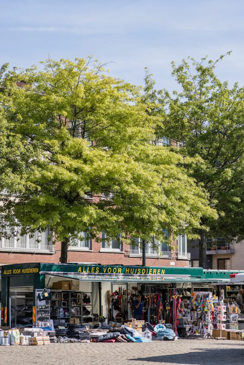 Snuffelmarkt