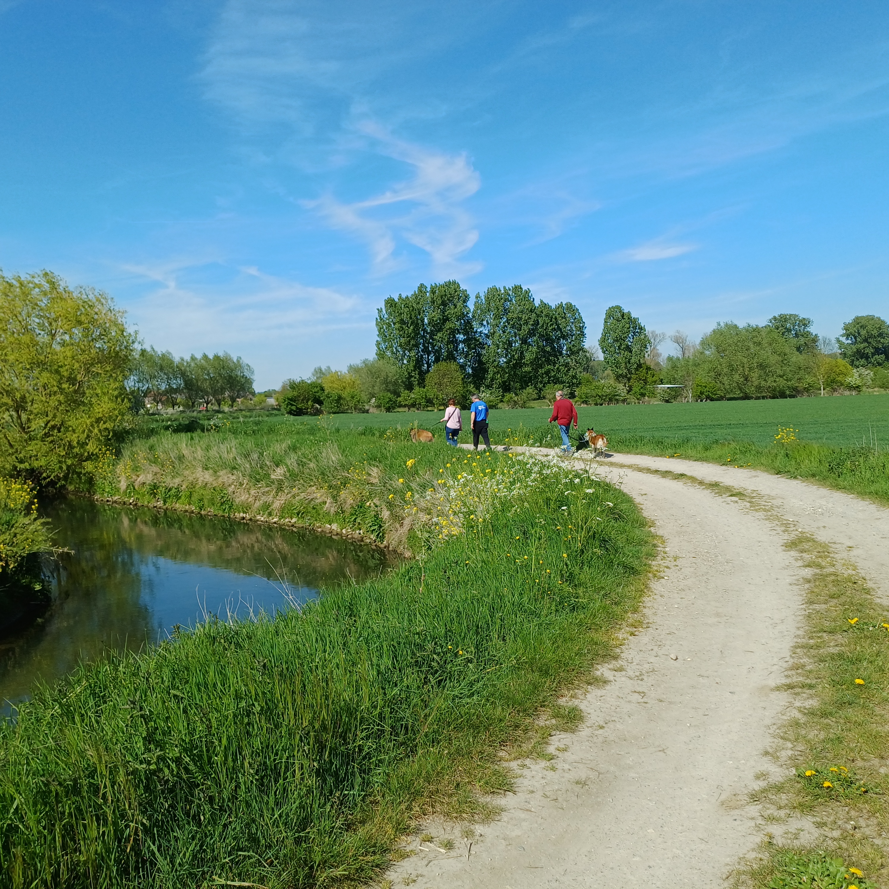 langs de dijk