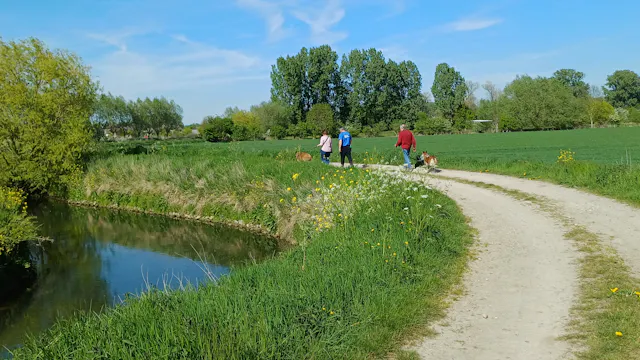 langs de dijk