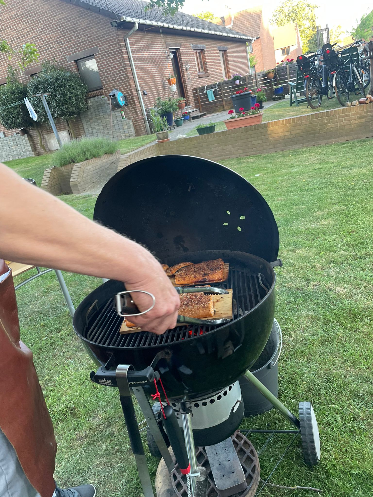 Image for gzbd activity