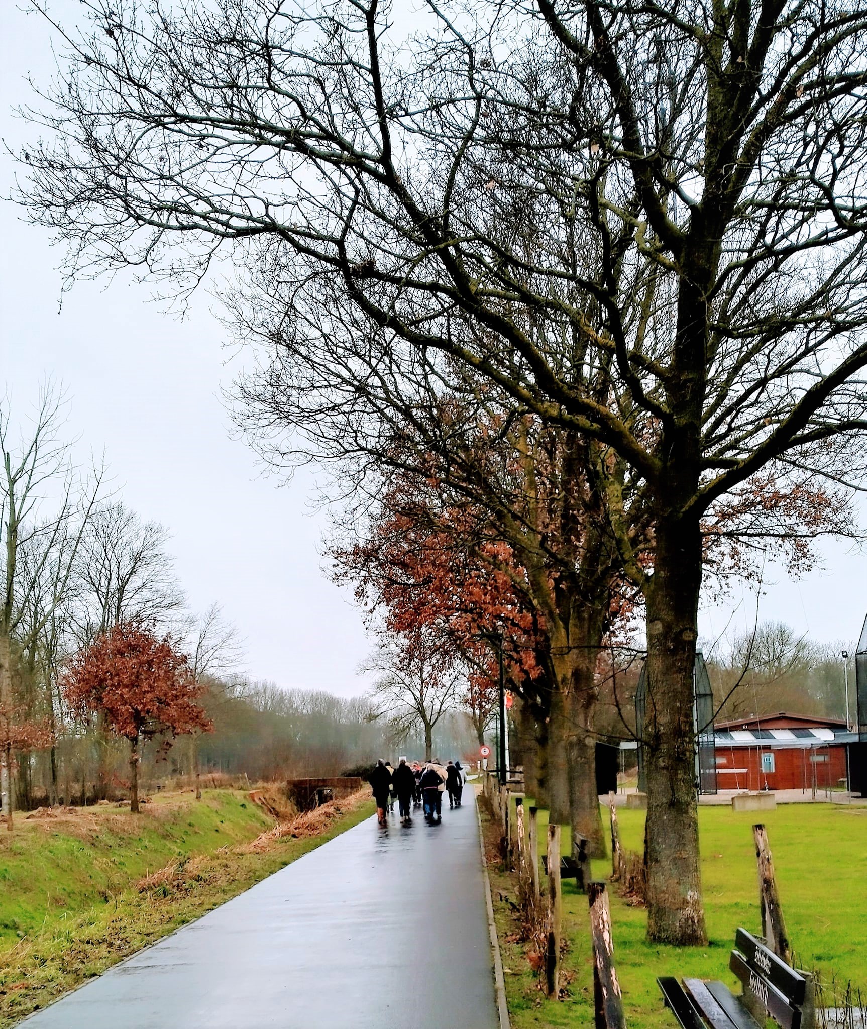 Gezondheidswandeling