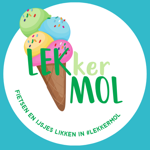 flowlab-foto-Logo's-(1).png