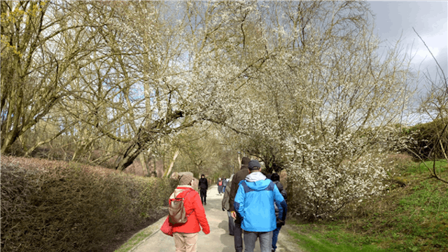 Warm wandelen, ça marche @GC WaBo