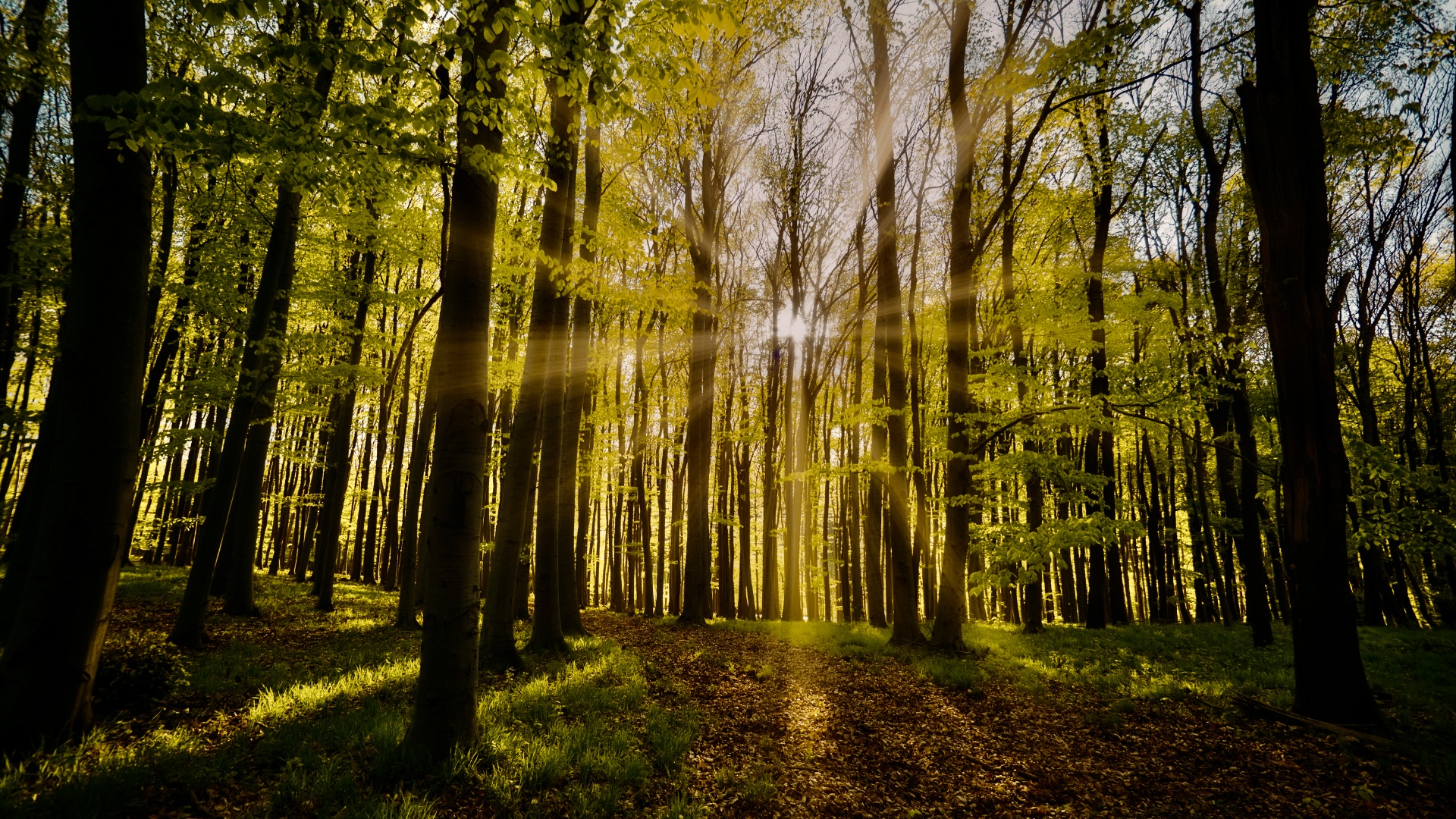 Ademkracht & Bosrust met Tinne en Lot