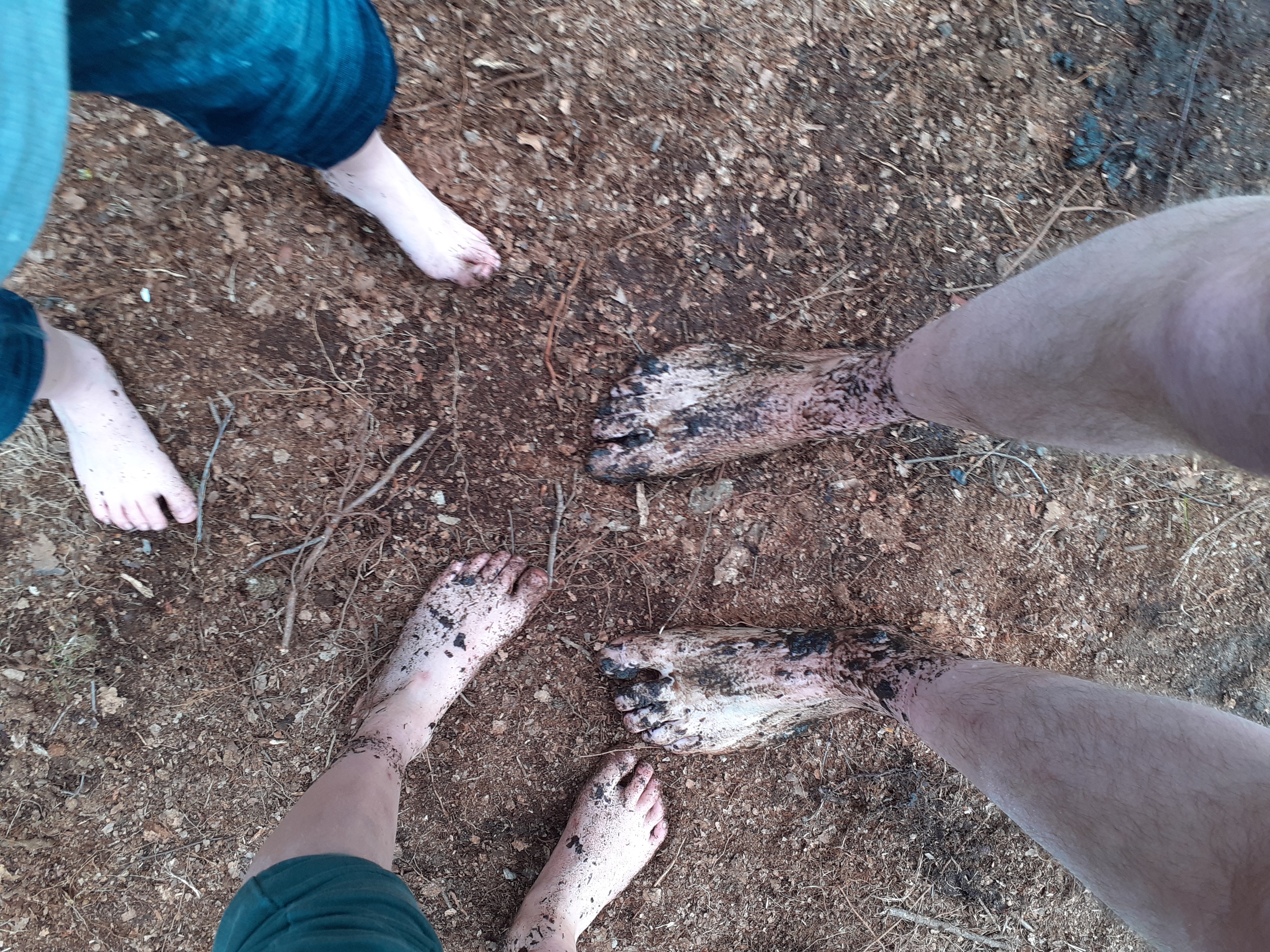 Zin in een zinnenprikkelende tocht op stenen, over houtsnippers of door modder? Ons blotevoetenpad biedt het je allemaal! Gooi dus je schoenen aan de kant en ga op pad over de Malse Voetenroute.