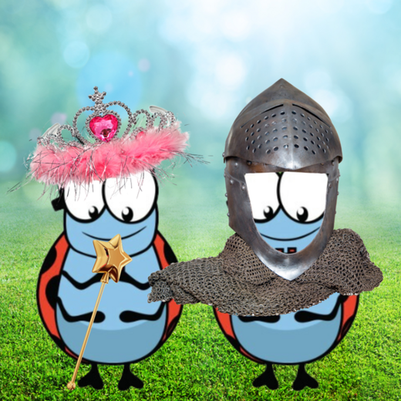 Ridders en prinsessen Vichte (16-20/02/2026)