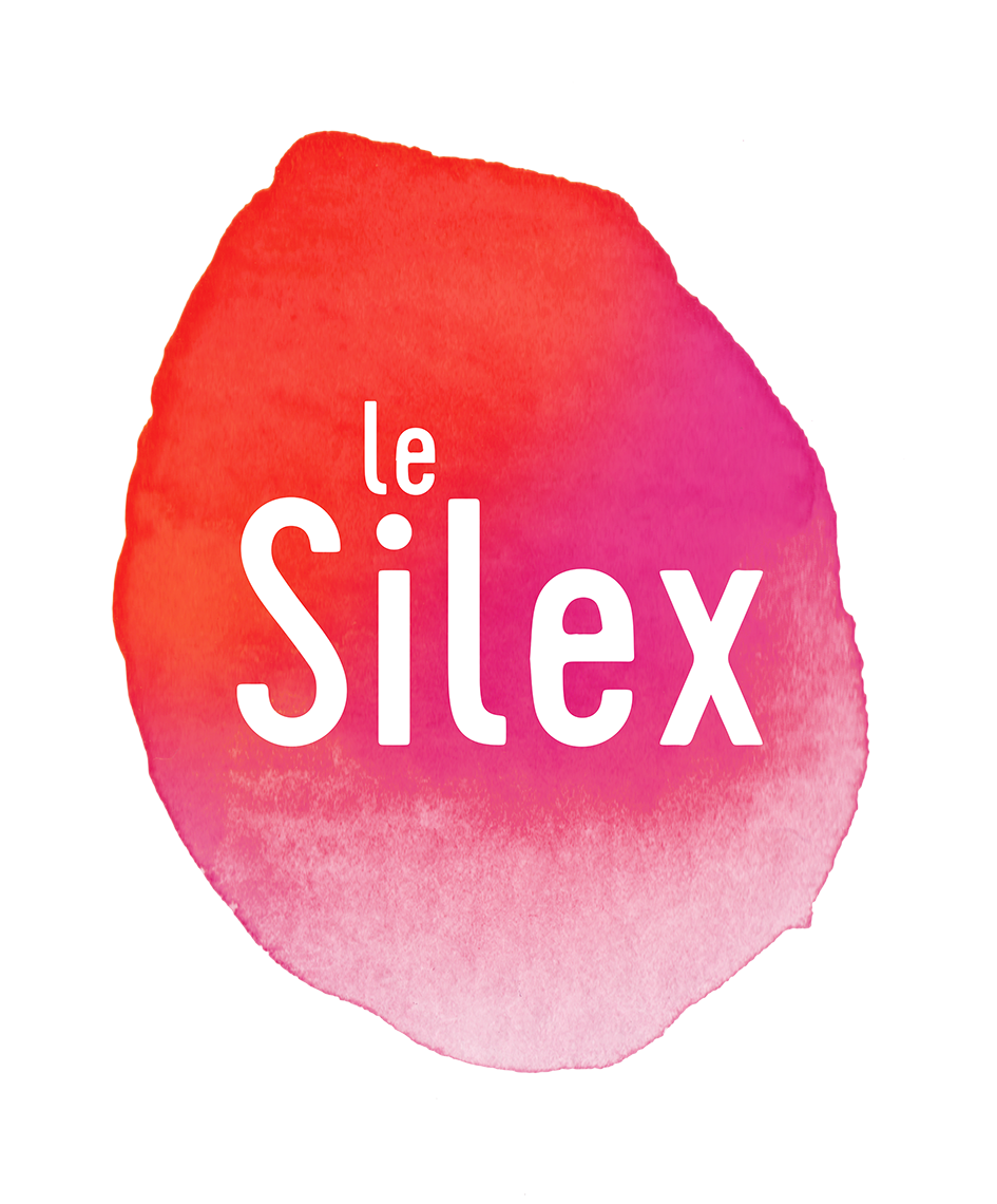 Logo vzw Le Silex