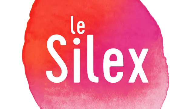 Logo vzw Le Silex