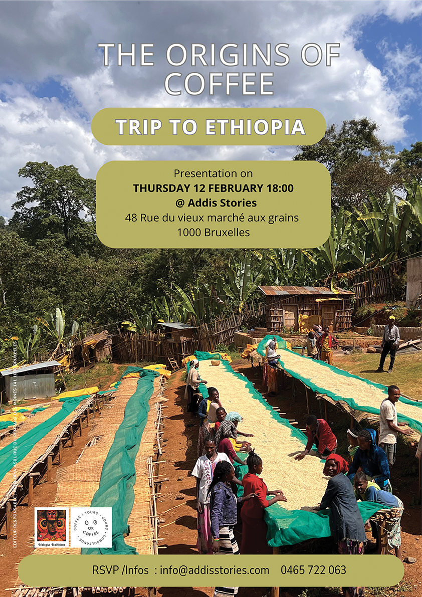 trip to ethiopia