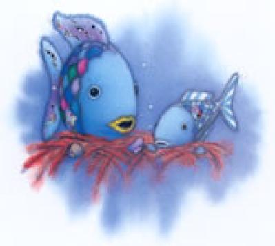 De mooiste vis van de zee Zomer 8 - 2026