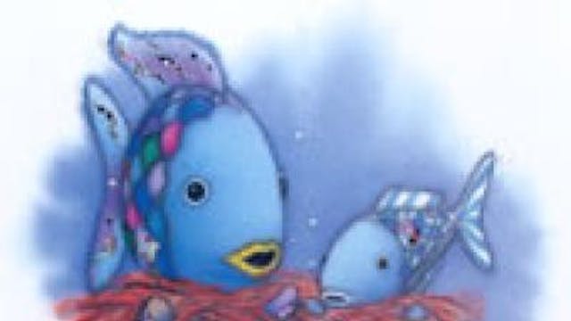 De mooiste vis van de zee Zomer 8 - 2026