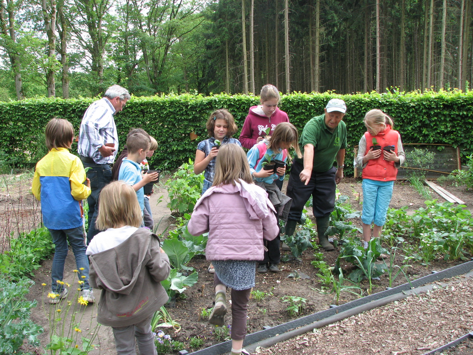 Volkstuin winterklaar maken