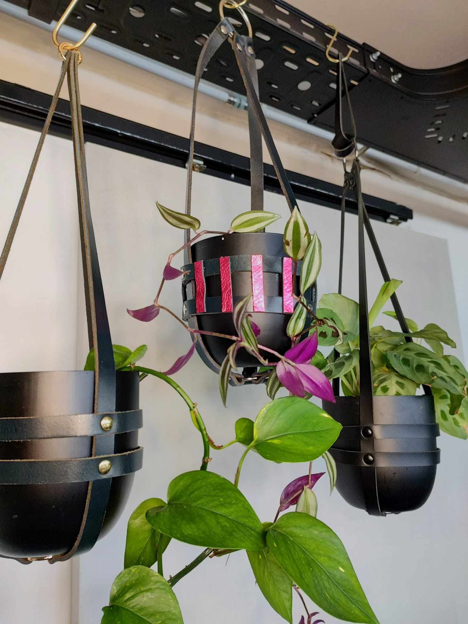 WhatsApp Image 2023-09-20 at 17.52.08 (1)